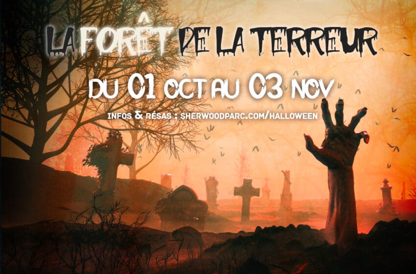 Une programmation Halloween terrifiante ! 🎃⚰️🧟🕷️
