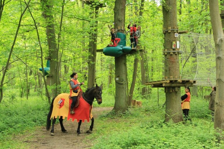 cheval-parcours