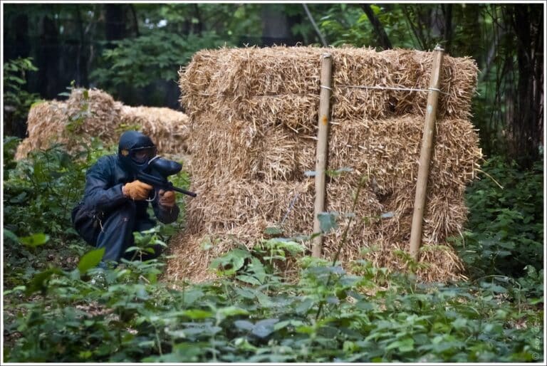 DSC_4042-border - Grande